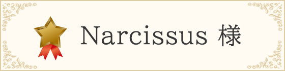 Narcissus 様
